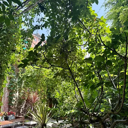 Franca's Lejlighed Milano